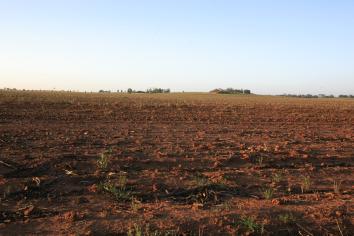 Farmland and Soil Dubbo red earth