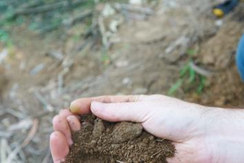 Soil profile sampling, testing, edirt program