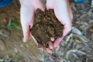 Hands holding soil. Soil profile sampling, testing, edirt program