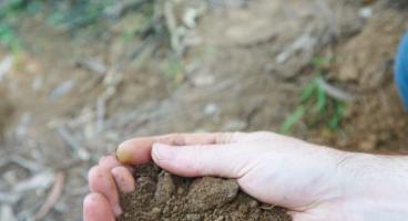 Soil profile sampling, testing, edirt program