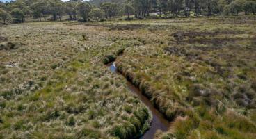 Barrington Tops National Park