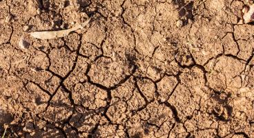 cracked soil
