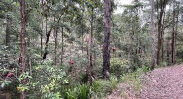 Sternbecks Line Walking Track