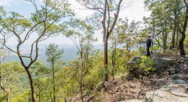 Watagans National Park